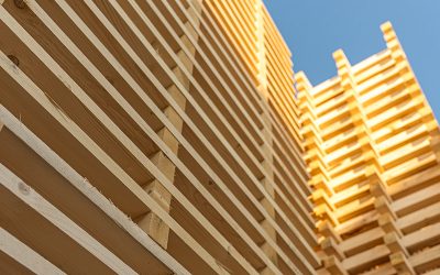 Come scegliere l’imballaggio in legno giusto per il tuo prodotto